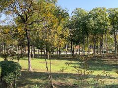 -济南国际园博园