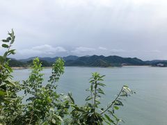 -望湖烤鱼
