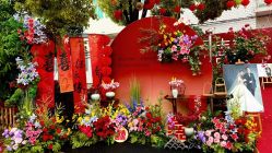 -明典婚礼策划·婚车租赁·婚纱摄影