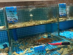 -良师门滨海人家·海鲜·家常菜(滨海城店)