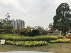 -荔湾区儿童公园