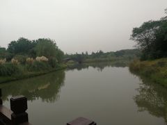 -南湖湿地公园