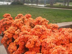 -湖泉水云间餐厅·弥勒地道菜(B座店)