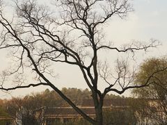 -采石矶景区