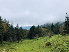 -硗碛藏寨·神木垒景区