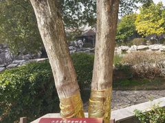 -口岸雕花楼