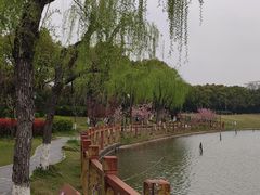 -黄兴公园