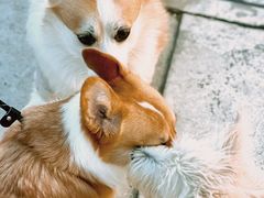 -小意思咖啡店(草桥店)