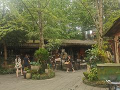 -青城甲(青城山店)