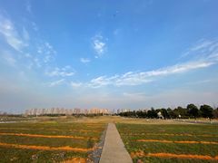 -洋湖国家湿地公园