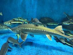 -多彩贵州城极地海洋世界