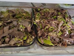 -铁军鲜羊肉汤