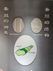 -太湖雪蚕桑文化园