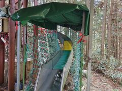 -磐安舞龙峡景区