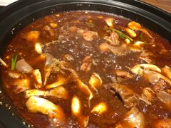 -红顶老汉烧鸡公羊蝎子火锅(学士街店)