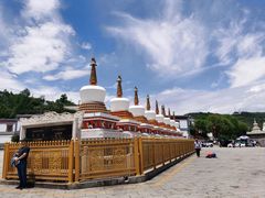 -塔尔寺-菩提树