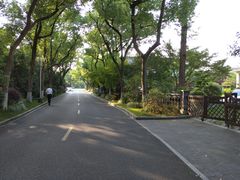 -浙江西子宾馆·瑶园咖啡厅