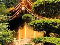 -深圳国际园林花卉博览园