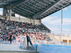 -上海海昌海洋公园