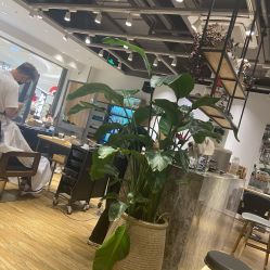 -Mentor Hair Salon