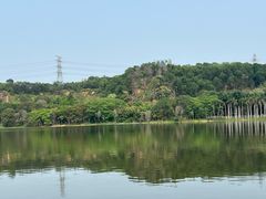 -凤岗南门山森林公园