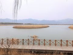 -野鸭湖国家湿地公园