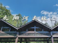 -普洱太阳河森林公园
