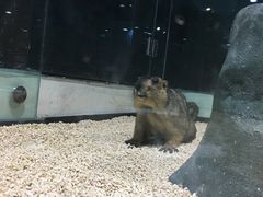 -台州海洋世界