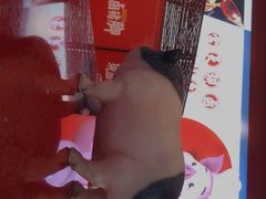 -猪角·闽南猪脚饭(上梅林店)