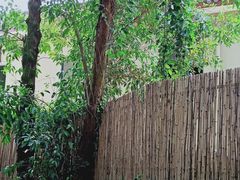 -云里小坐·小院里·团建·宴请·下午茶(三圣乡店)