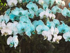 -华南国家植物园-售票处