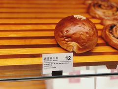 -WHEN PIGS FLY当猪飞