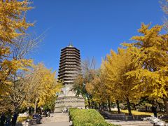 -玲珑塔公园