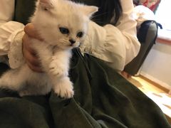 -万小咖.猫咖(中山路天虹店)