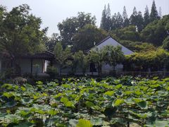 -上海醉白池公园