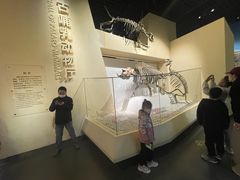 -国家自然博物馆