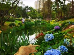 -人民公园(罗湖区)