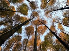 -山王坪喀斯特国家生态公园