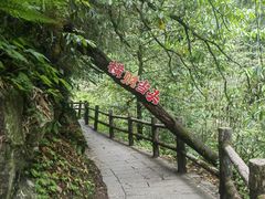 -西岭雪山大飞水景区