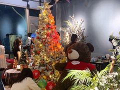 -咖法森林·咖啡  酒吧(天河店)