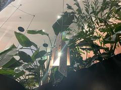 -渔芙南(三里屯店)