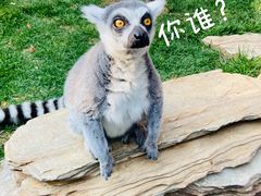 -北京野生动物园