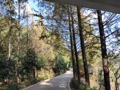-石燕湖生态旅游景区