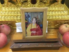 -峨眉山报国寺