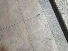 -巢爷老味(东方红店)