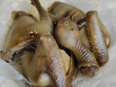 -百利鸽王(紫薇路店)