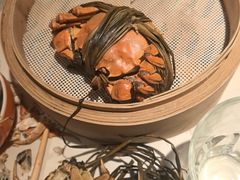 -杨氏青龙虾·羊蝎子(托乐嘉店)