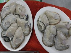 -花苑美食横琴生蚝火锅(拱北粤华路店)