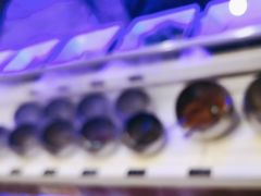 -千纸鹤嫩汁烤肉(西大直街店)