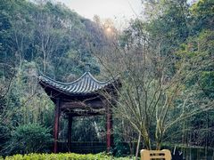 -大慈岩风景区